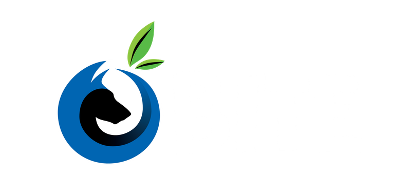 BITE, Tadeja Brajnik s.p. logo