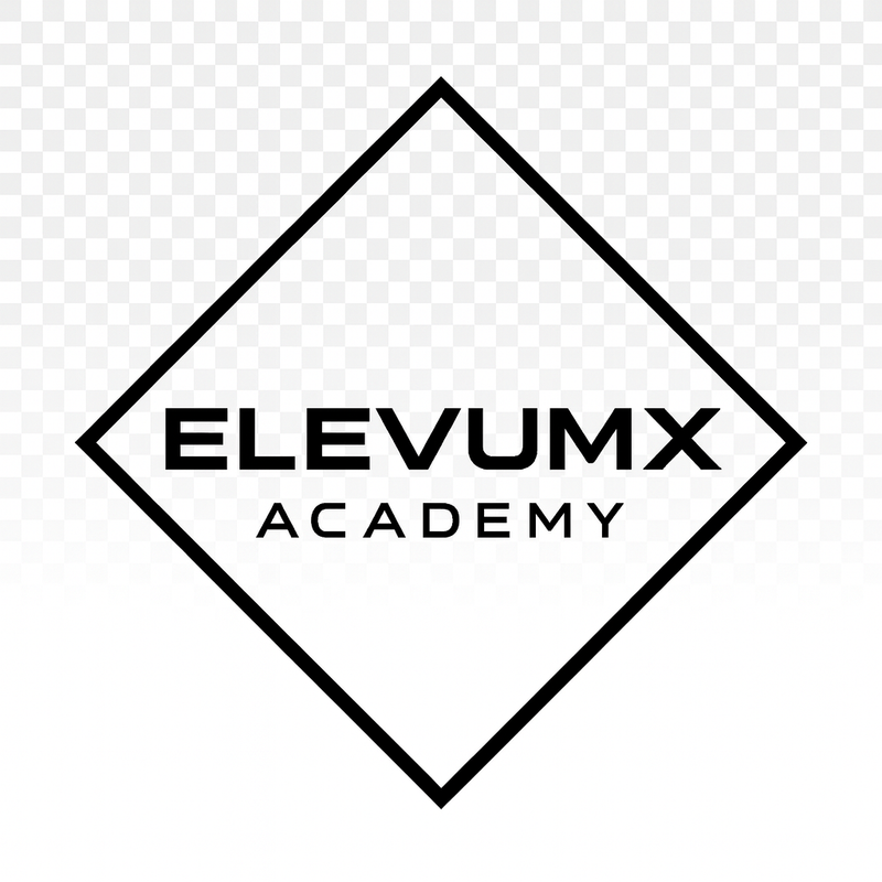 Zavod ElevumX Academy logo